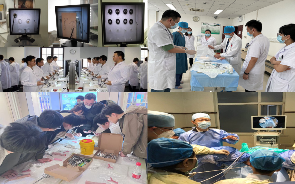 学系教学.png